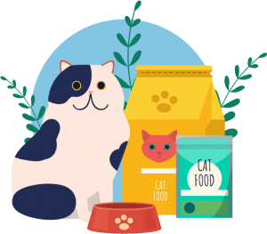 kitty food and food dish